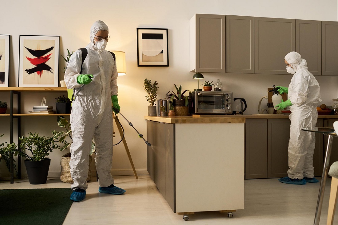 Hawx Pest Control Reviews: Real Homeowner Experiences